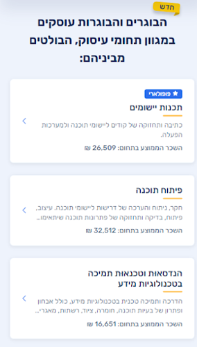 דוגמה הנדסת תוכנה הנדסאי