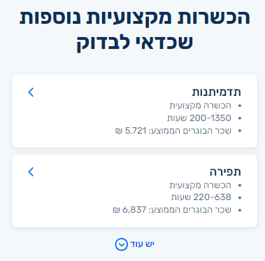 הכשרות מקצועיות נוספות